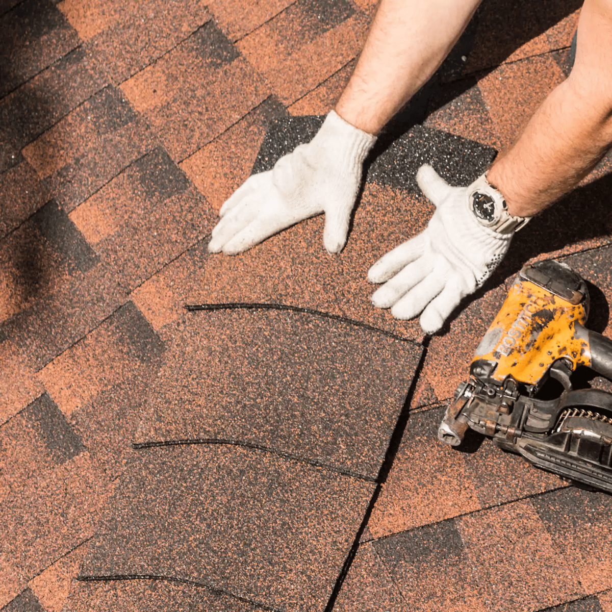 Big Dawgs Roofing Images