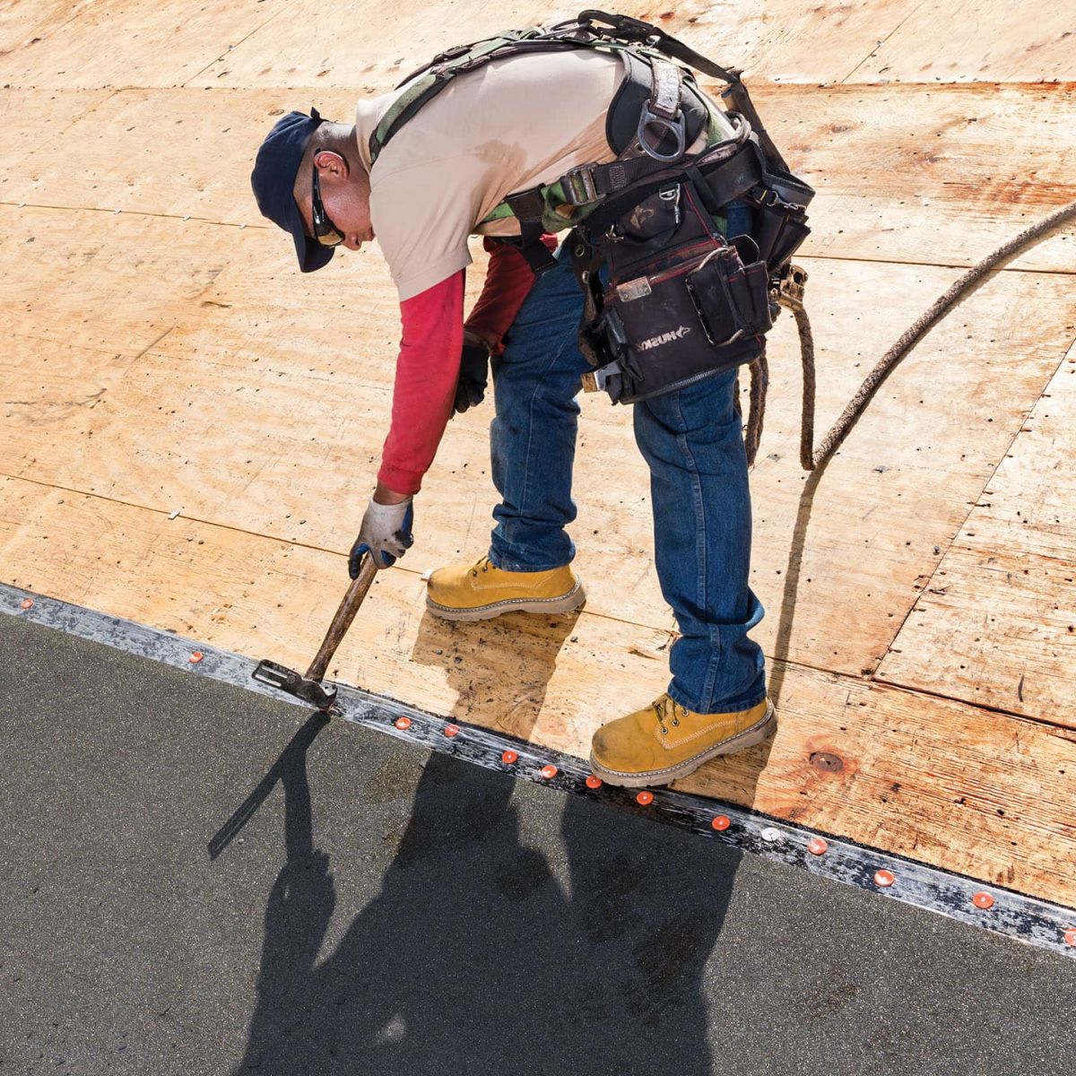 Big Dawgs Roofing Images