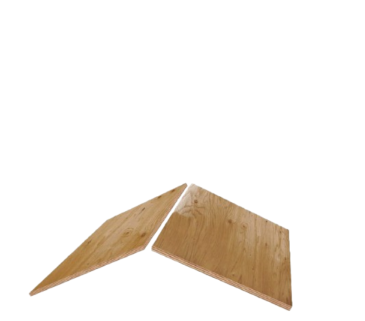 Big Dawgs Roofing Images