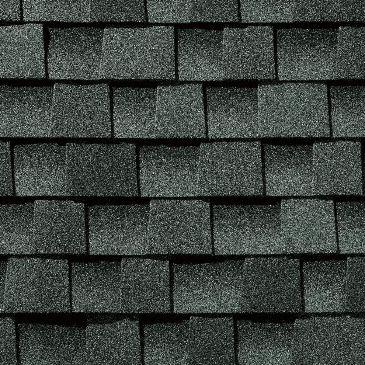 Big Dawgs Roofing Images