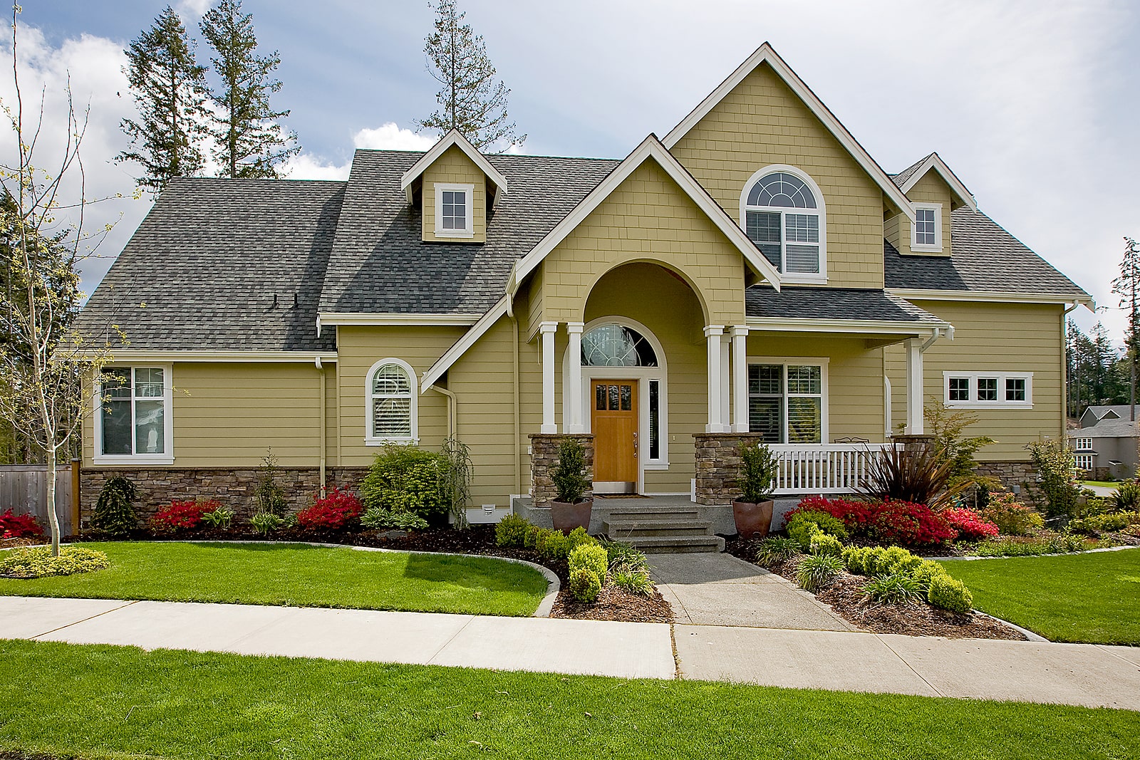 Big Dawgs Roofing Images